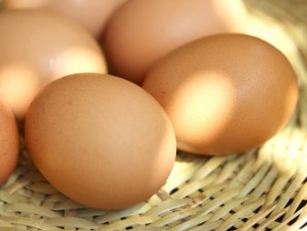 あの食材が今旬だったの！？シリーズ①たまご編